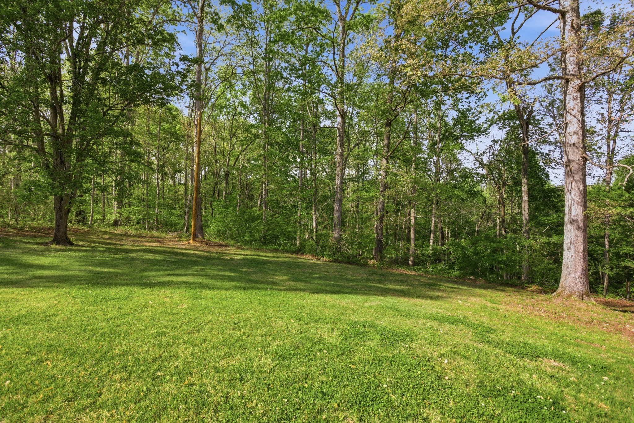 1416 Oakmont Circle Centerville TN 37033