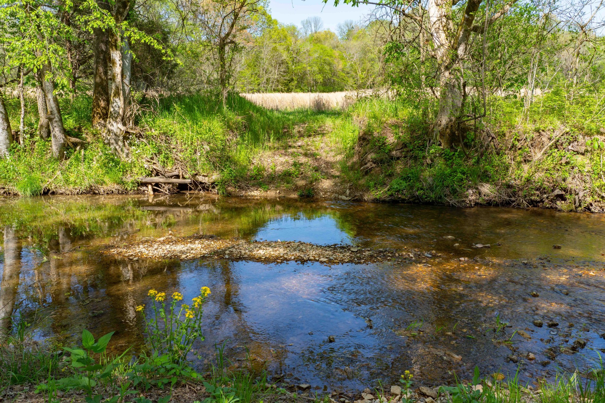 0 Pee Dee Branch Road Cottontown TN 37048