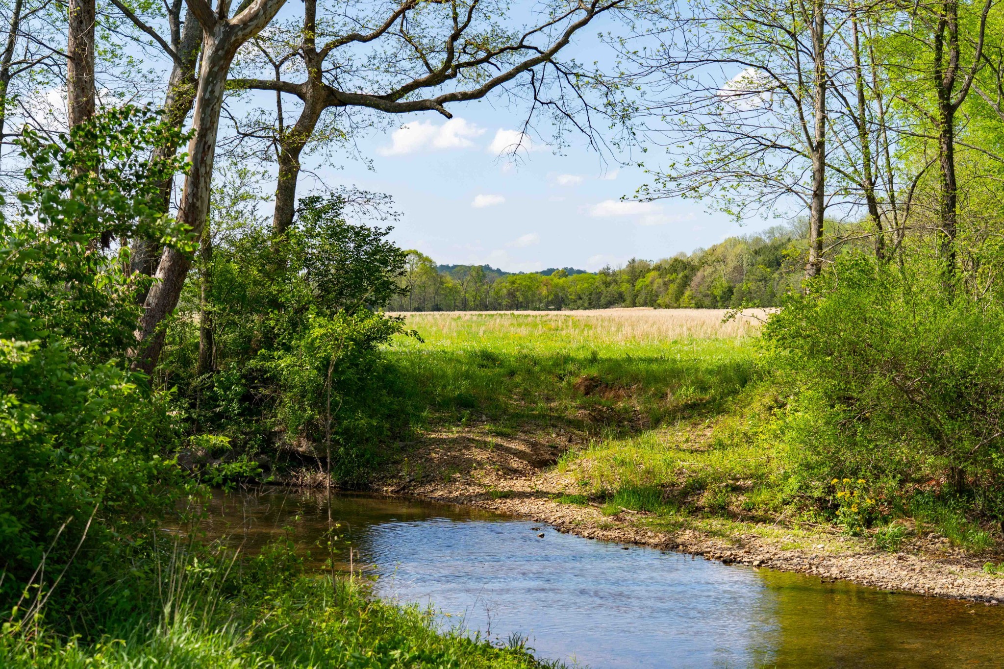 0 Pee Dee Branch Road Cottontown TN 37048