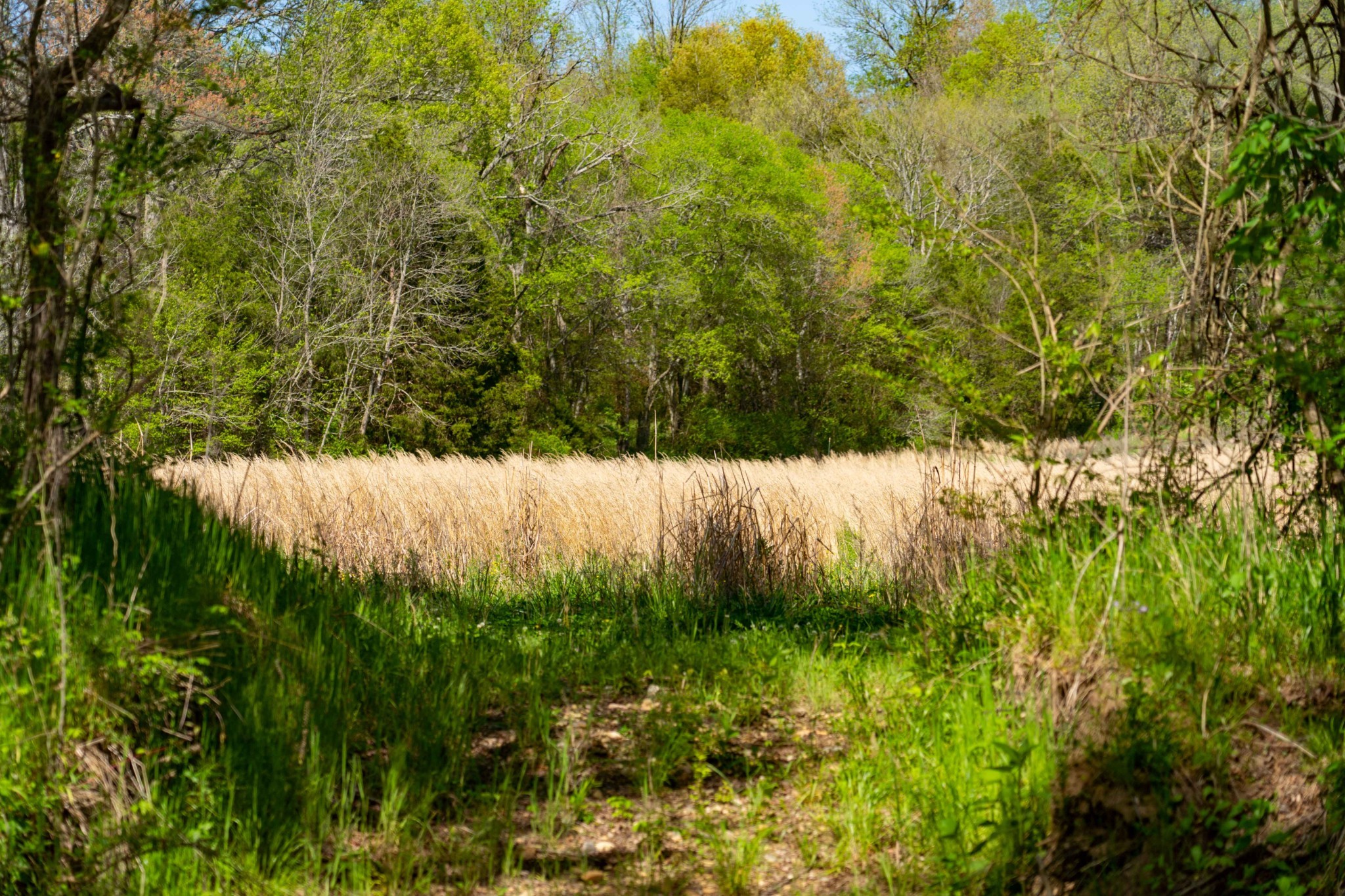 0 Pee Dee Branch Road Cottontown TN 37048