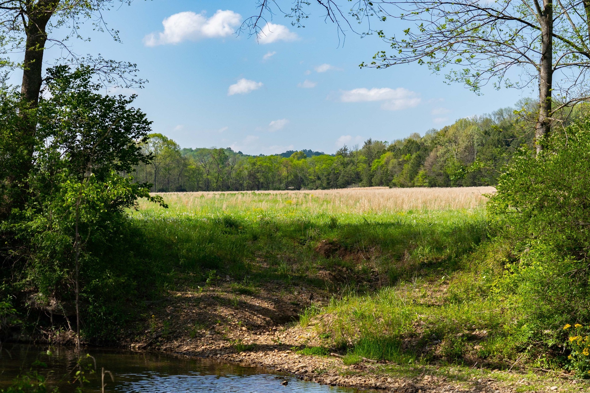0 Pee Dee Branch Road Cottontown TN 37048