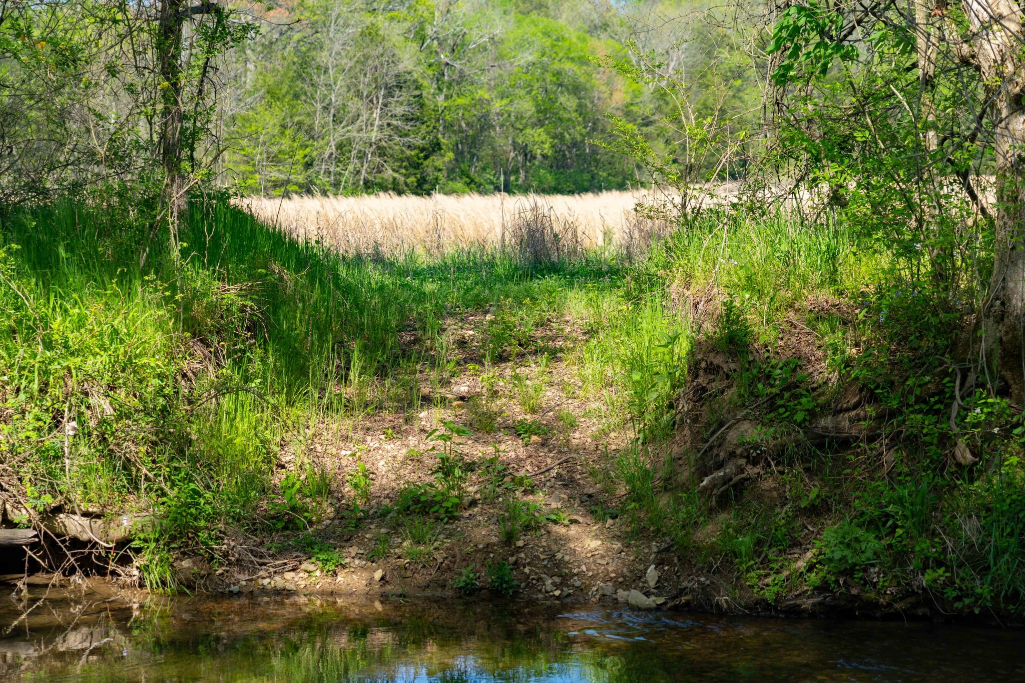 0 Pee Dee Branch Road Cottontown TN 37048