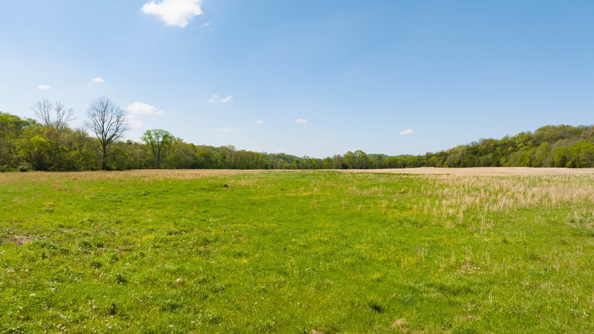 0 Pee Dee Branch Road Cottontown TN 37048