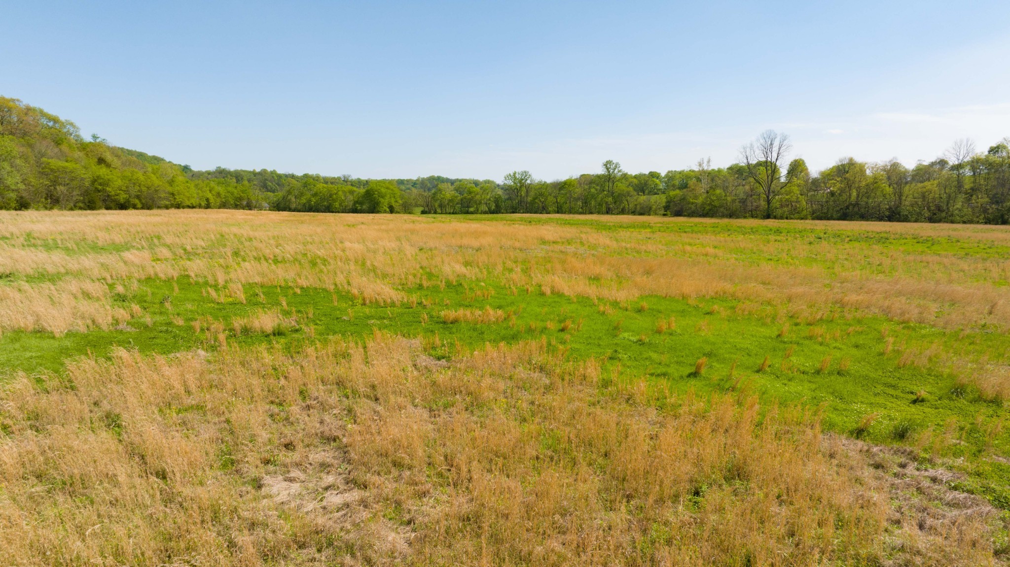 0 Pee Dee Branch Road Cottontown TN 37048