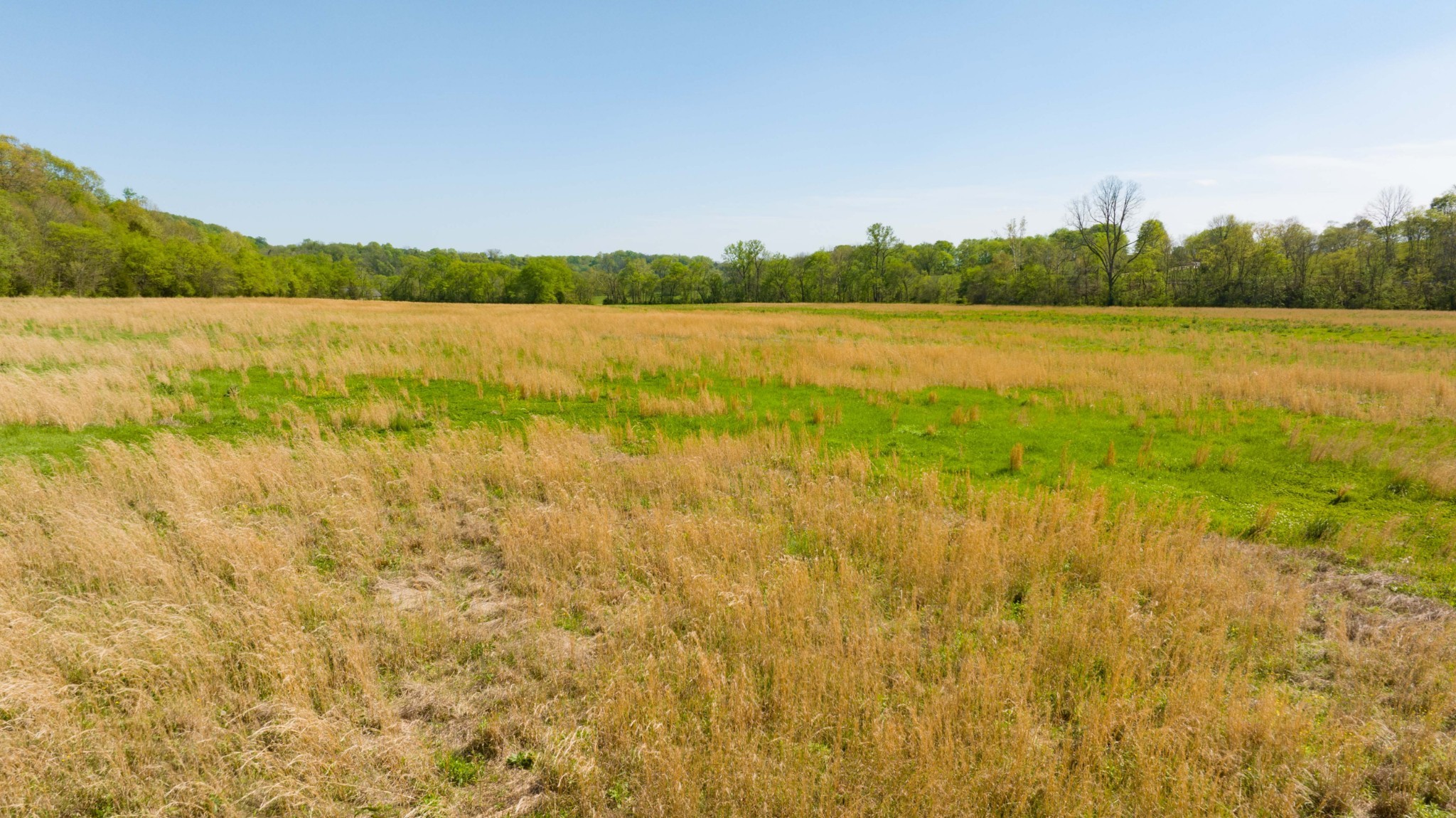 0 Pee Dee Branch Road Cottontown TN 37048