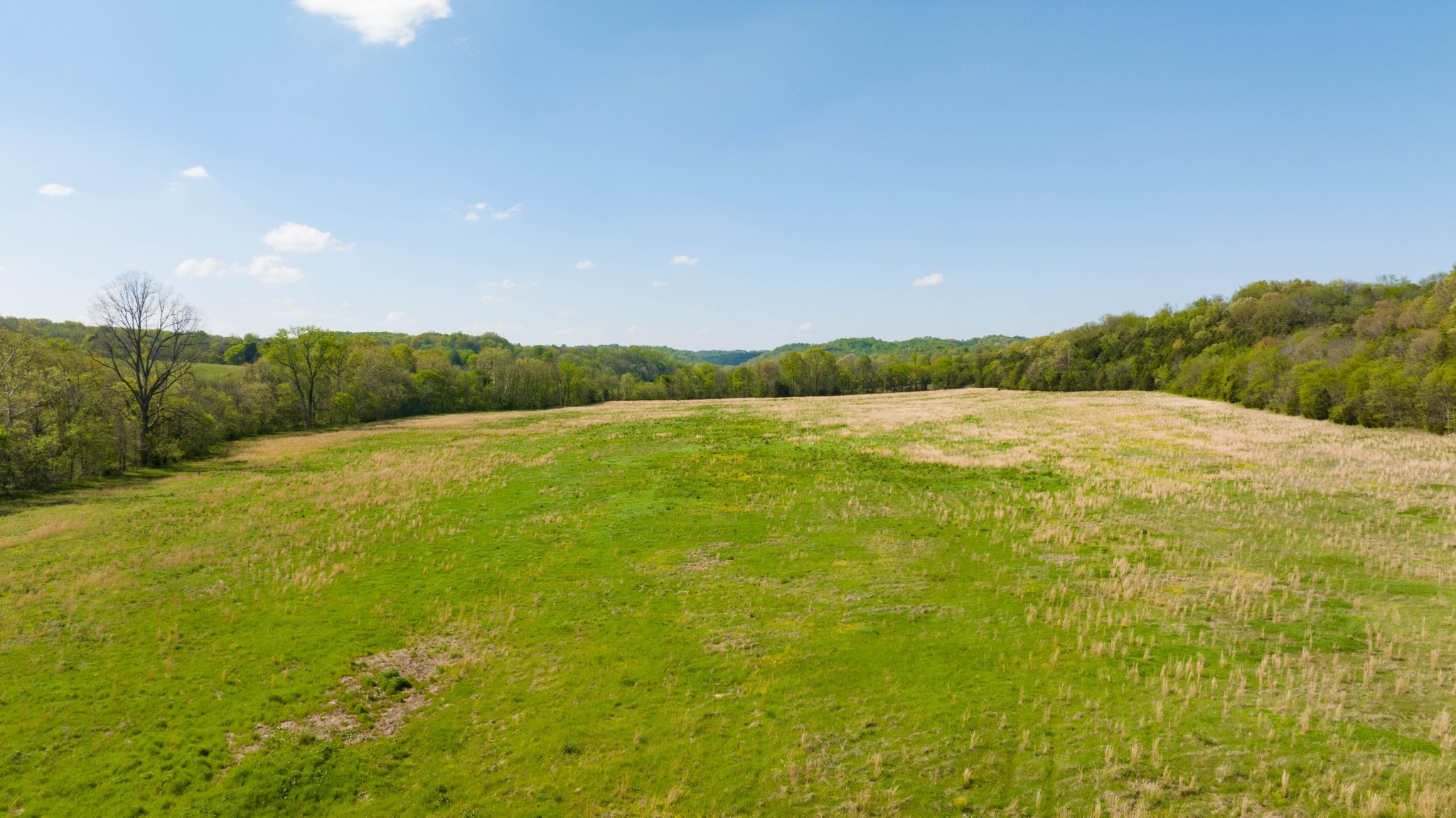 0 Pee Dee Branch Road Cottontown TN 37048