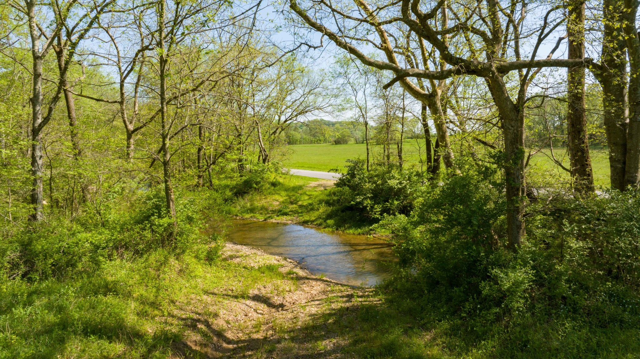 0 Pee Dee Branch Road Cottontown TN 37048