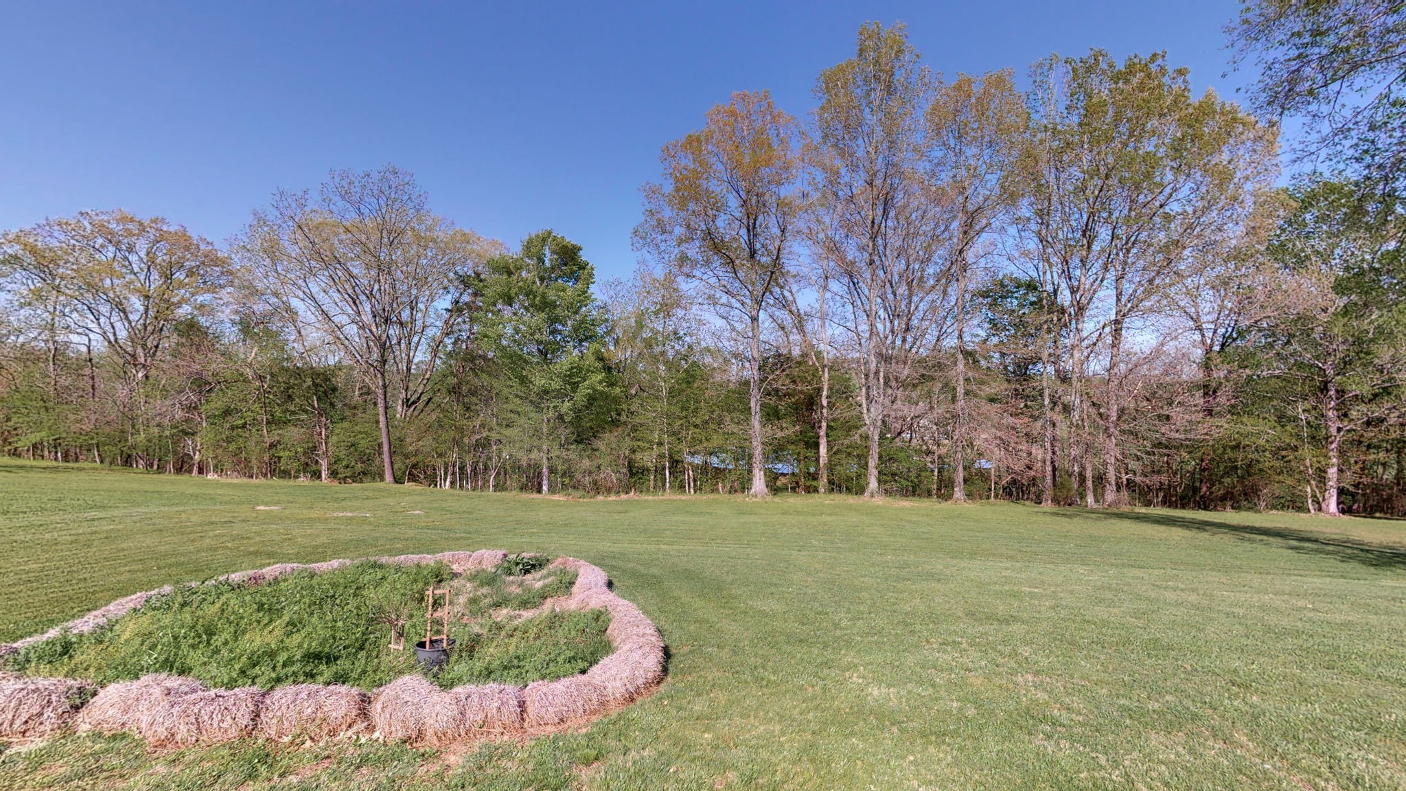 126 Tom Walker Drive Beechgrove TN 37018