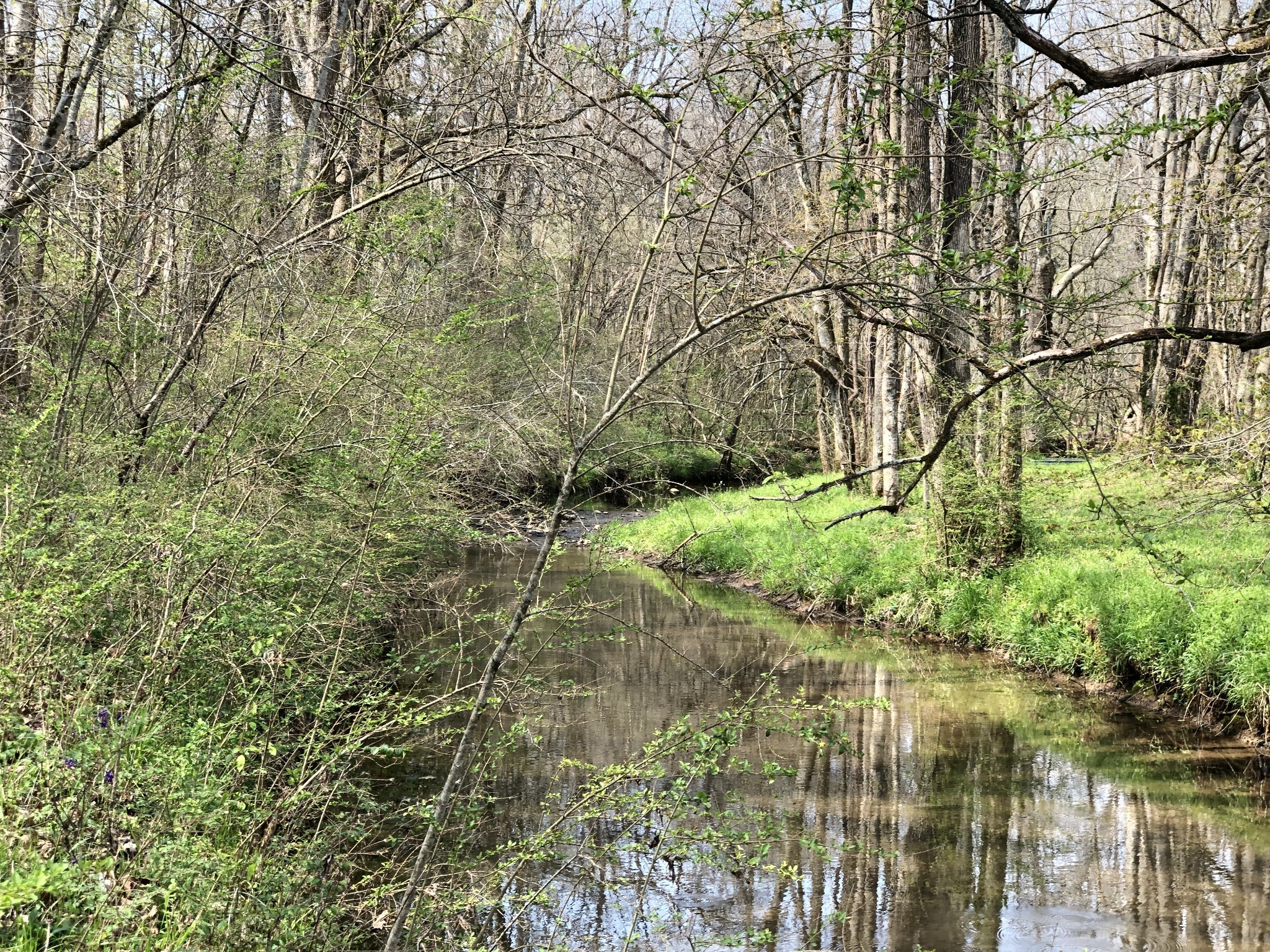 126 Tom Walker Drive Beechgrove TN 37018