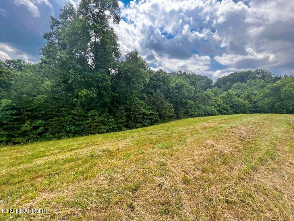 2004 Turners Landing Road Russellville TN 37860