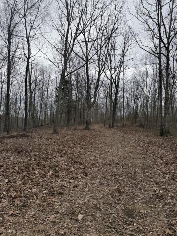 0 Bear Creek Lot 53 Road Waverly TN 37185