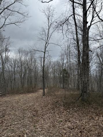 0 Bear Creek Lot 53 Road Waverly TN 37185
