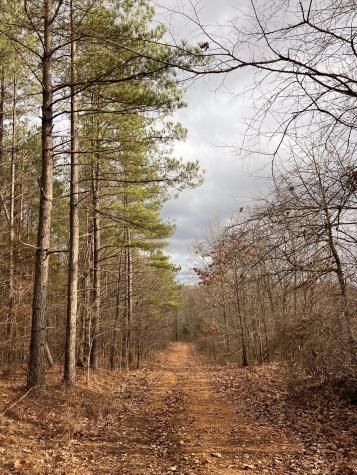 0 Bear Creek Lot 53 Road Waverly TN 37185