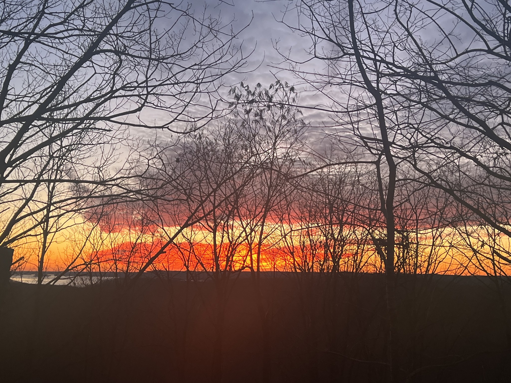 0 Bear Creek Lot 53 Road Waverly TN 37185