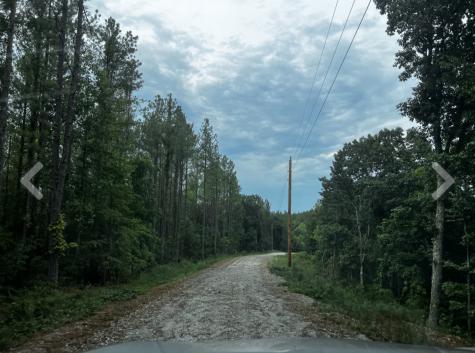 0 Bear Creek Lot 53 Road Waverly TN 37185