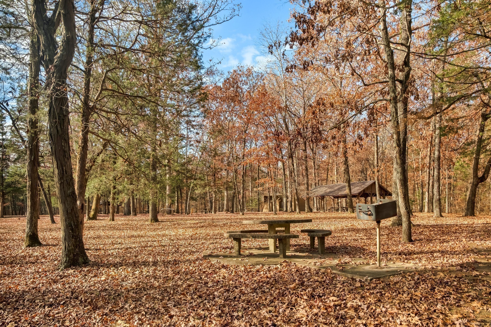 11 Hartmann Crossing Court Lebanon TN 37087