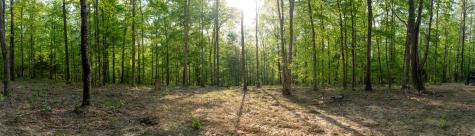 3 Pinewood Road Nunnelly TN 37137