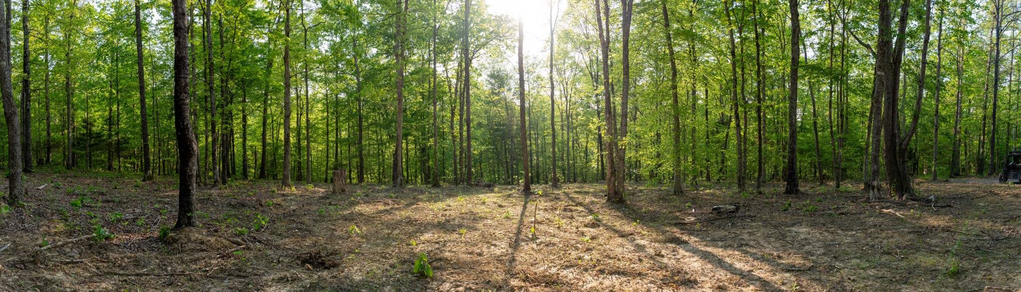 3 Pinewood Road Nunnelly TN 37137