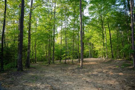 3 Pinewood Road Nunnelly TN 37137