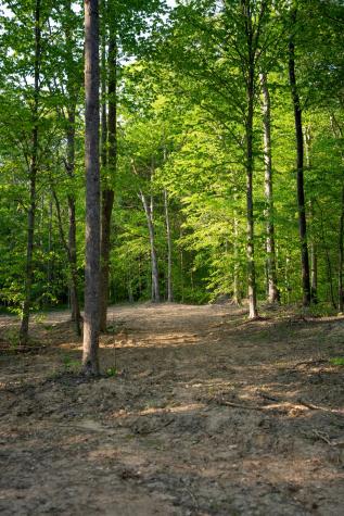 3 Pinewood Road Nunnelly TN 37137