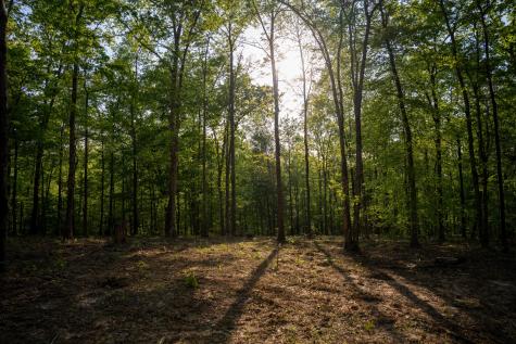3 Pinewood Road Nunnelly TN 37137