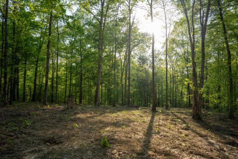 3 Pinewood Road Nunnelly TN 37137