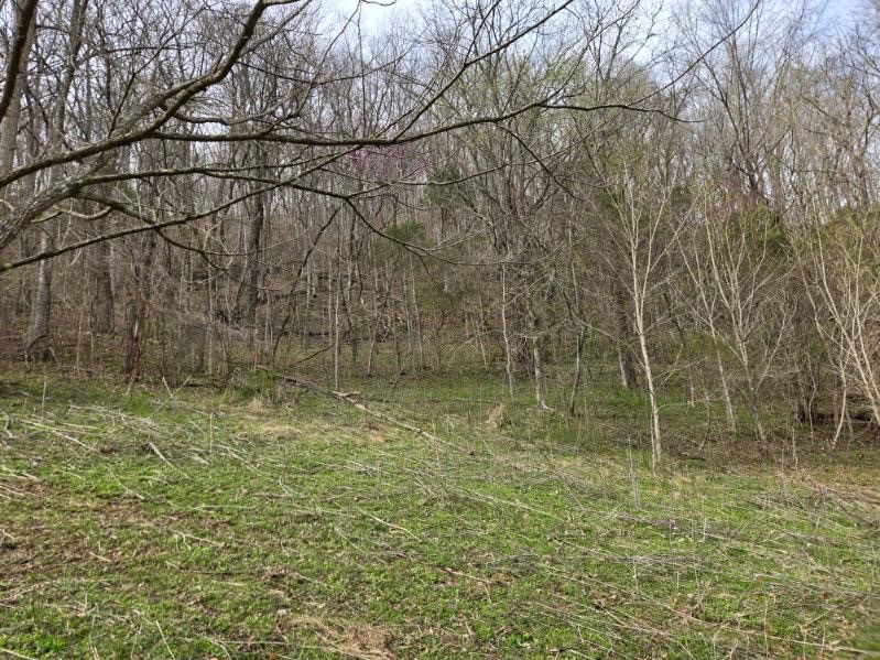 142 Tobe Lane Celina TN 38551