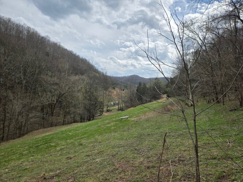 142 Tobe Lane Celina TN 38551