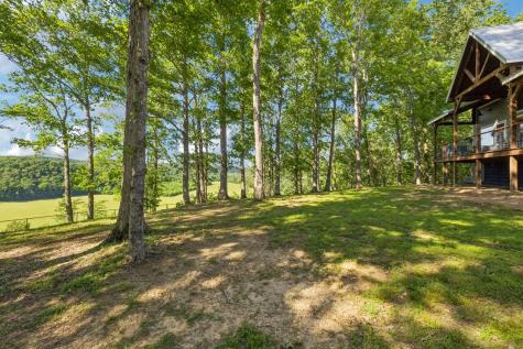 1606 Nosegay Road White Bluff TN 37187