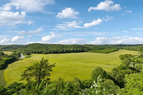 1606 Nosegay Road White Bluff TN 37187