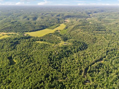 1606 Nosegay Road White Bluff TN 37187