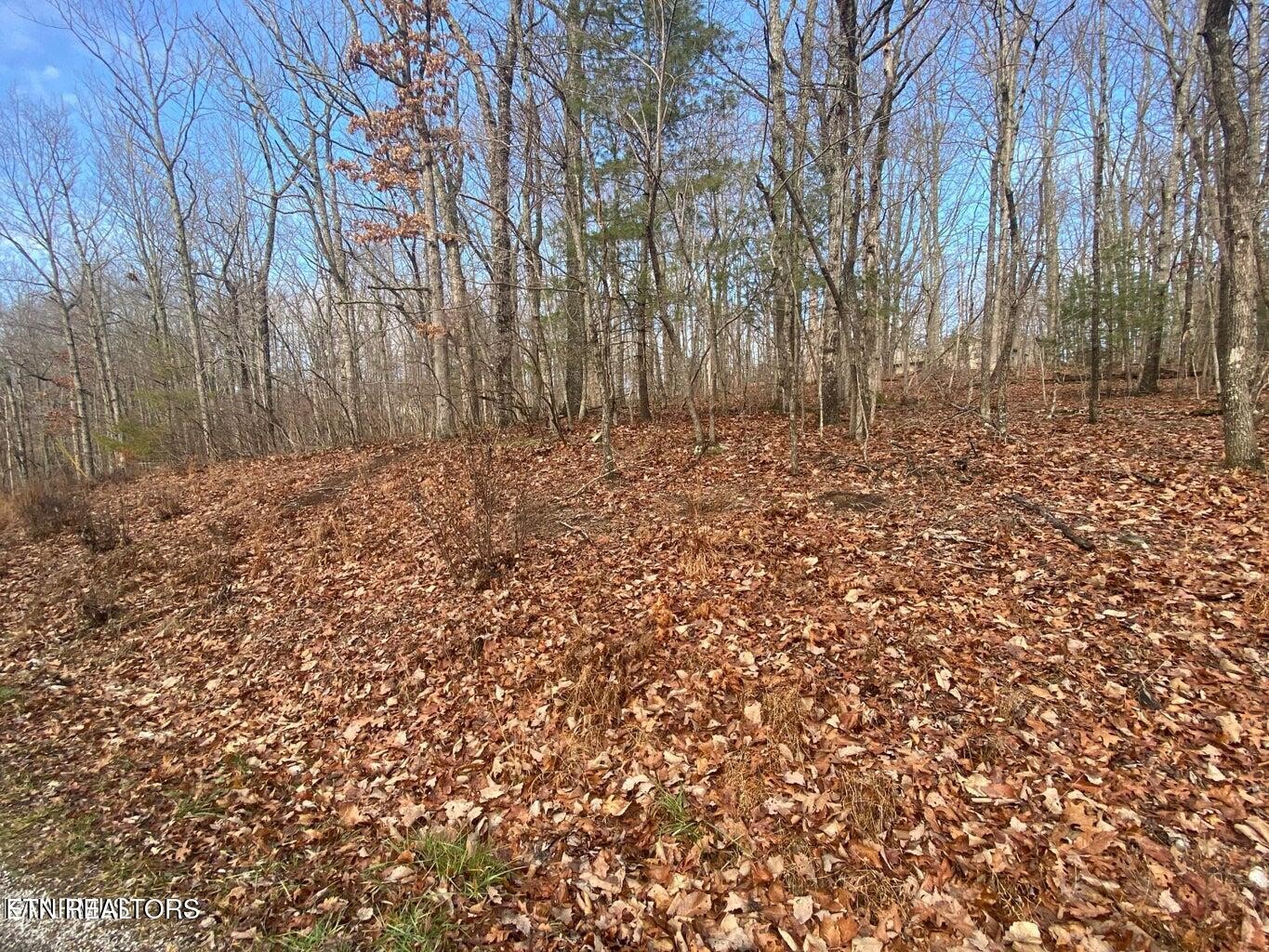 116 Overlook Cove Crossville TN 38558