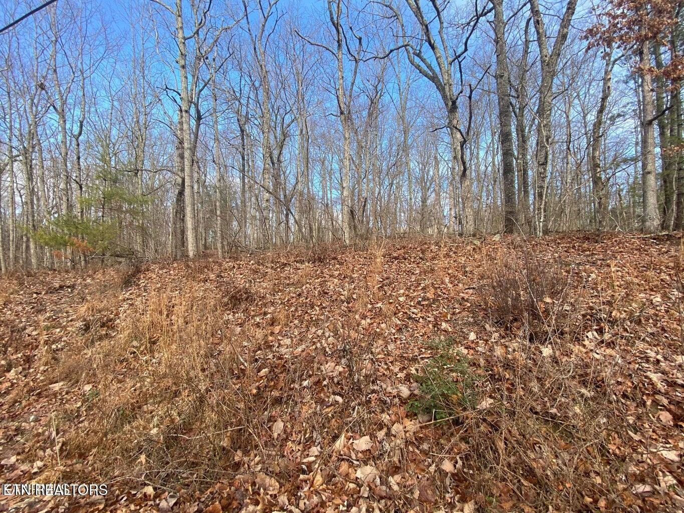 116 Overlook Cove Crossville TN 38558
