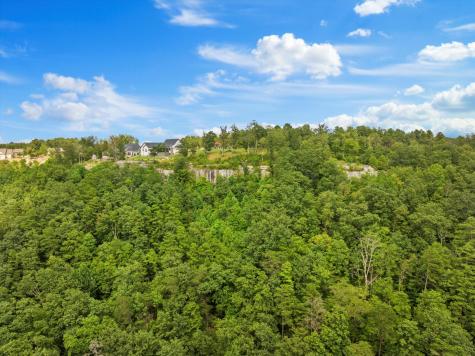 0 Bobcat Trail Jasper TN 37347