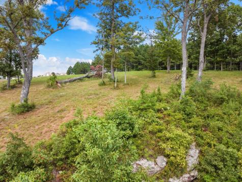 0 Bobcat Trail Jasper TN 37347