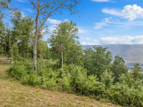 0 Bobcat Trail Jasper TN 37347