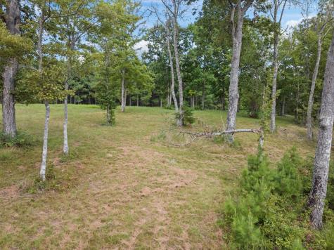 0 Bobcat Trail Jasper TN 37347