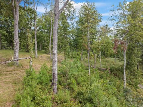 0 Bobcat Trail Jasper TN 37347