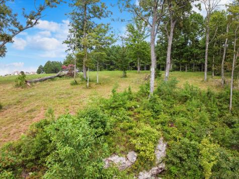 0 Bobcat Trail Jasper TN 37347