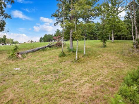 0 Bobcat Trail Jasper TN 37347