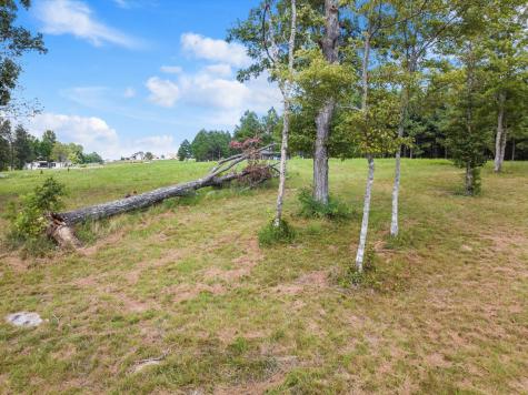 0 Bobcat Trail Jasper TN 37347