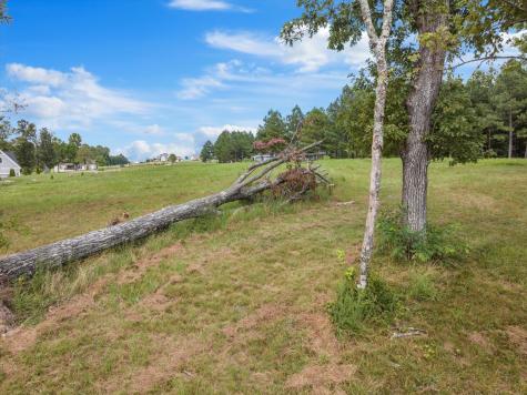 0 Bobcat Trail Jasper TN 37347