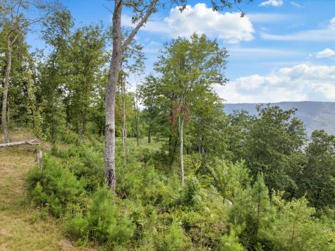 0 Bobcat Trail Jasper TN 37347