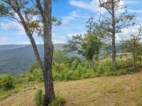 0 Bobcat Trail Jasper TN 37347