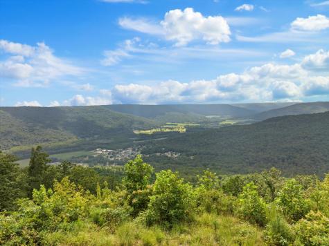 0 Bobcat Trail Jasper TN 37347