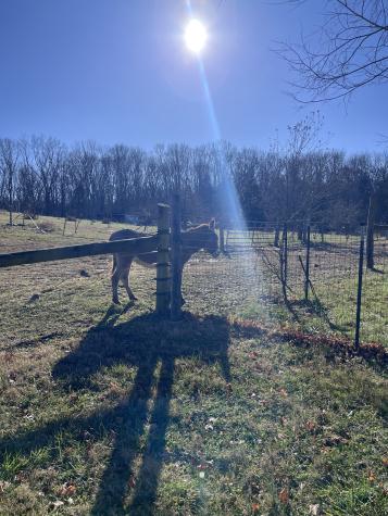 2160 Cedar Grove Road Lebanon TN 37087