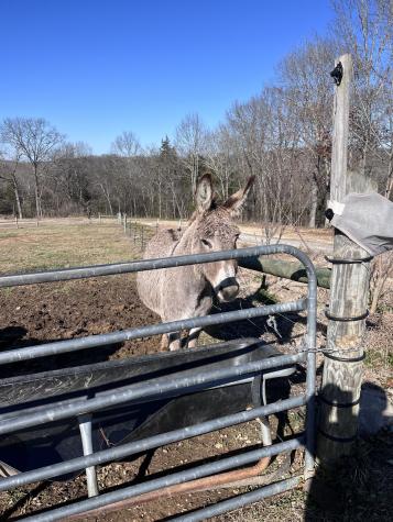 2160 Cedar Grove Road Lebanon TN 37087