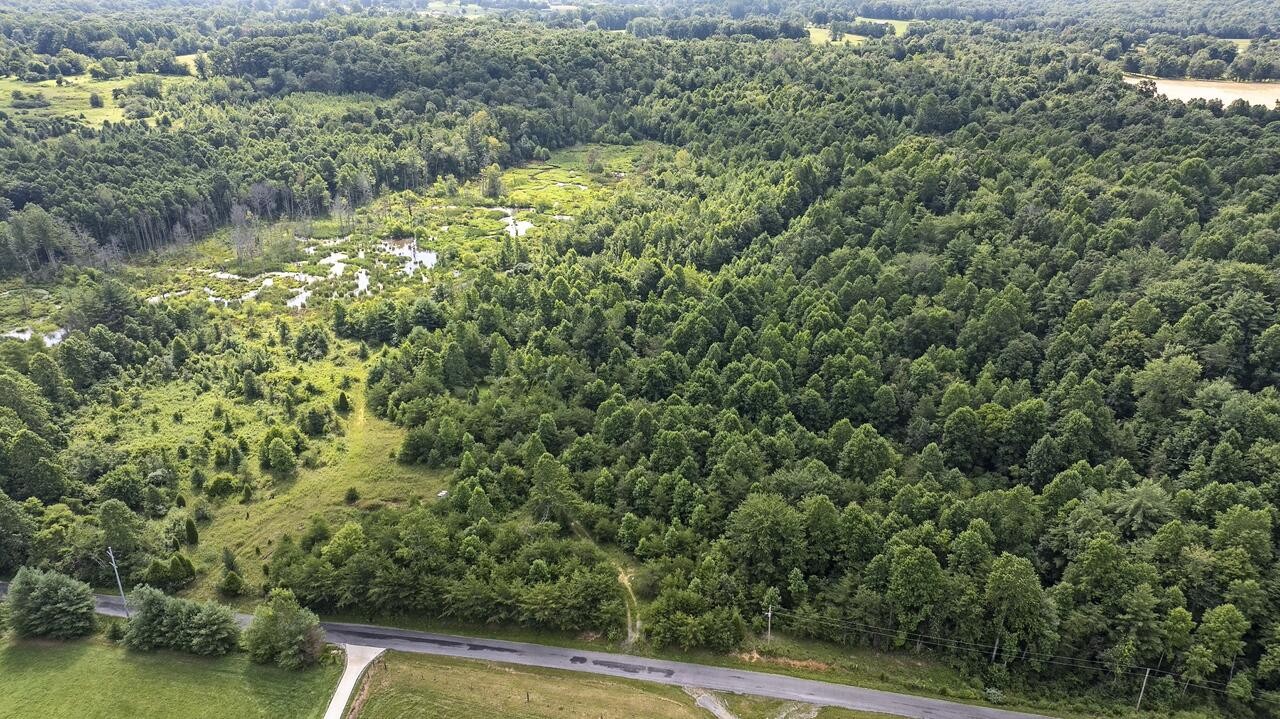 329 Flower Garden Road Grandview TN 37337