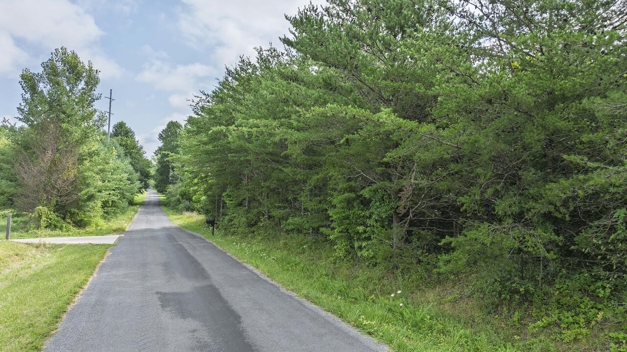 329 Flower Garden Road Grandview TN 37337