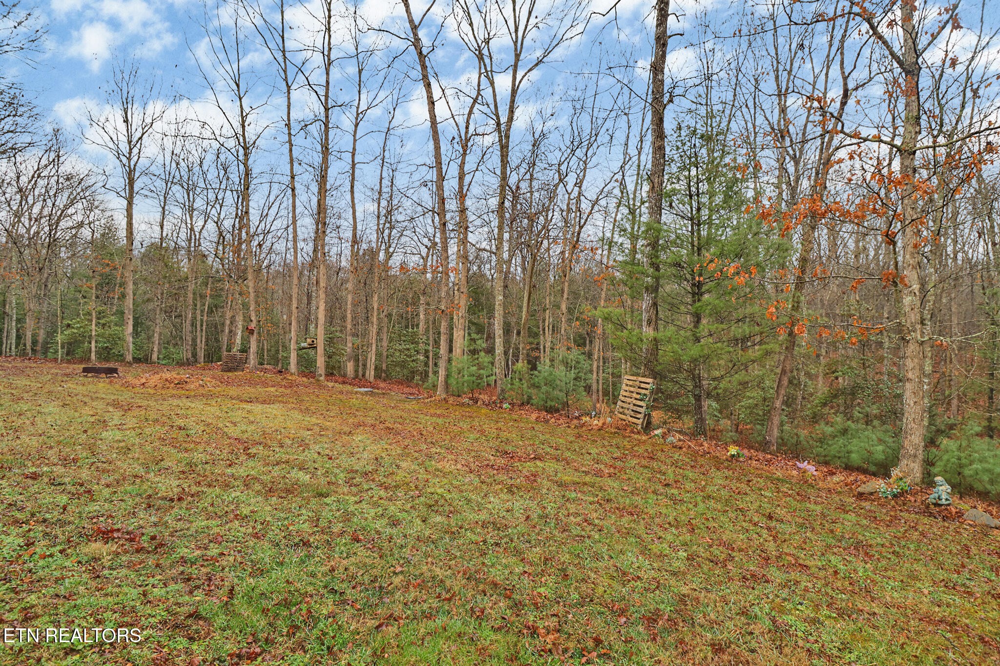 224 Victoria Circle Jamestown TN 38556